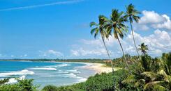 Sri Lanka - Short & Sweet - 3 nights tour