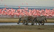 Best of Tanzania