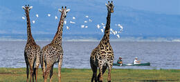 Best of Tanzania
