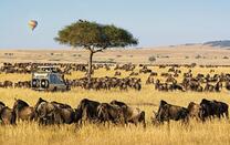 Best of Africa ... Kenya, Victoria Falls, South Africa !