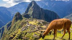 Best of South America ... Argentina, Brazil, Peru