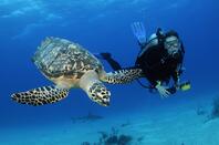 Best of Andaman & Nicobar Islands