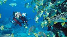Best of Andaman & Nicobar Islands