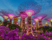 Best of Singapore