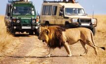 Best of Kenya