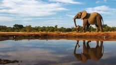 Best of Botswana
