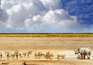 Best of Namibia