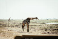 Best of Namibia