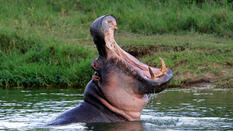 Best of Uganda