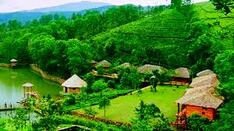 Best of Kerala ... God's Own Country !
