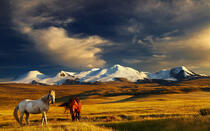 Best of Mongolia